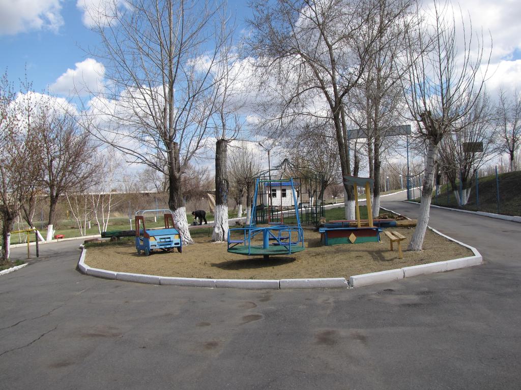 Фото Ариэль Д