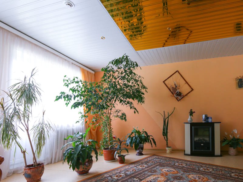 Фото Санаторий Радуга