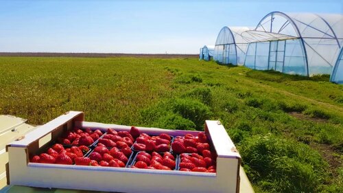 Yalangoch qishloq ayollarining uy qurilishi fotosuratlari