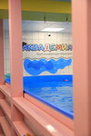 Aqua Baby Club (ул. Академика Бочвара, 3, корп. 3, Москва), бассейн в Москве