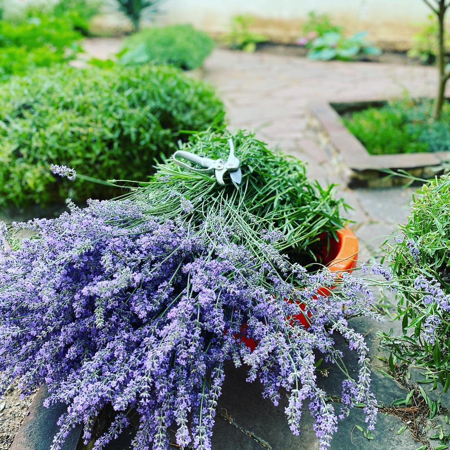 Фото Рахиль