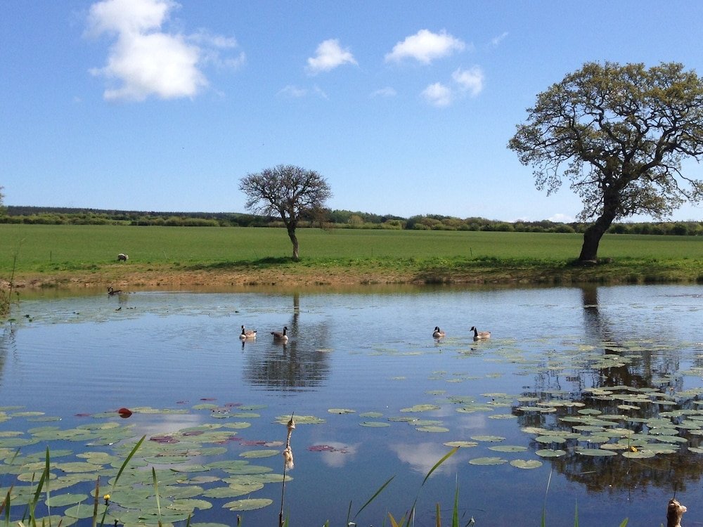 Фото The Grainary Cottages