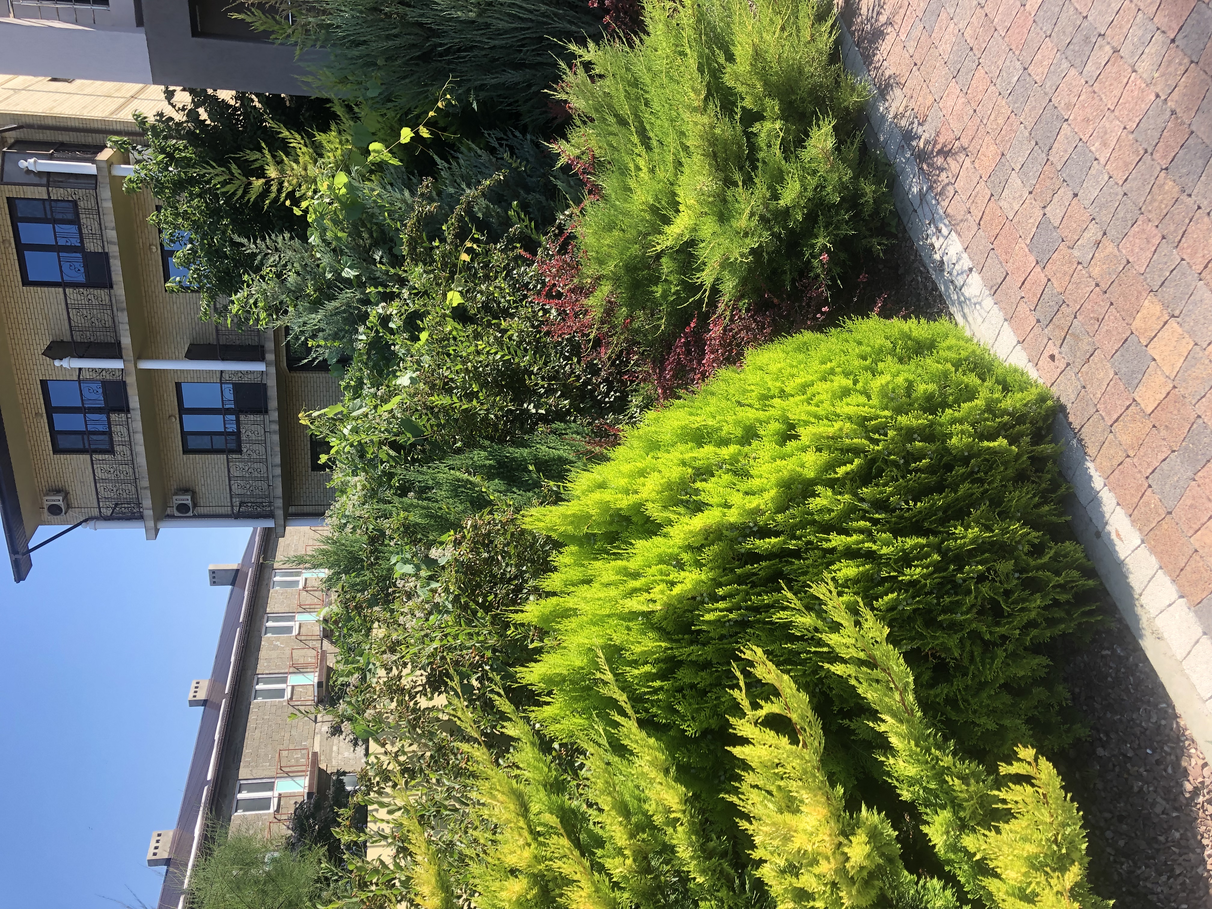 Фото Heliopark Aqua Resort