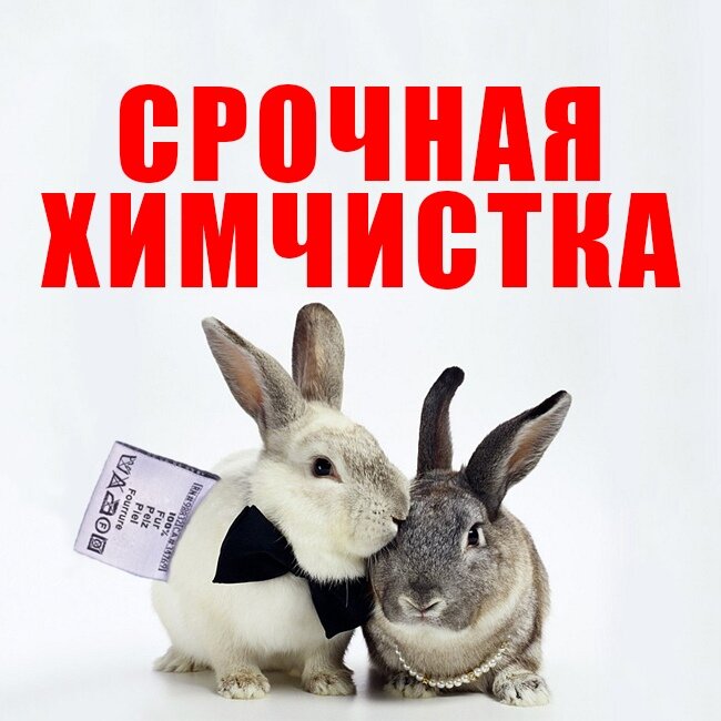 Срочная химчистка