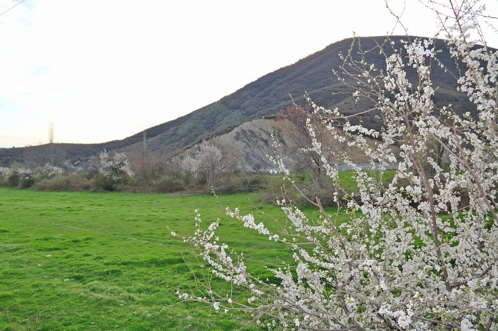 Фото F Garden Hotel Sheki