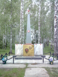 Памятник воинам, погибшим в Великой Отечественной войне (Томская область, Бакчарский район, деревня Вавиловка), памятник, мемориал в Томской области