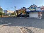 Barracuda (prospekt Kosmonavtov, 10Б), auto parts and auto goods store