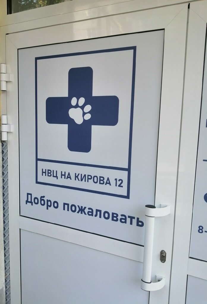 Клиника веста нижний новгород