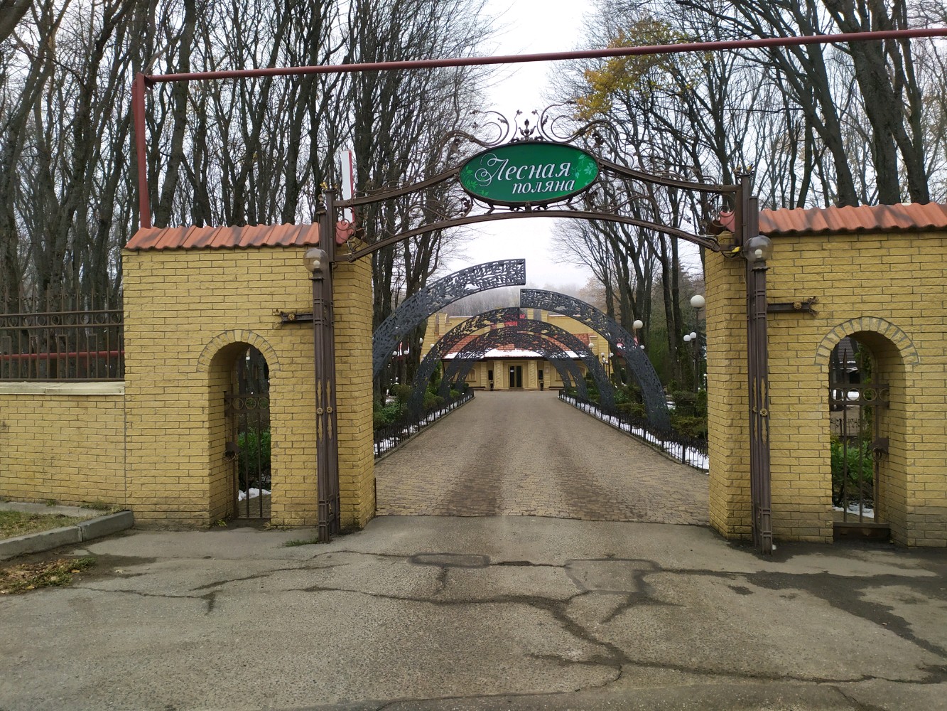 Фото Лесная поляна