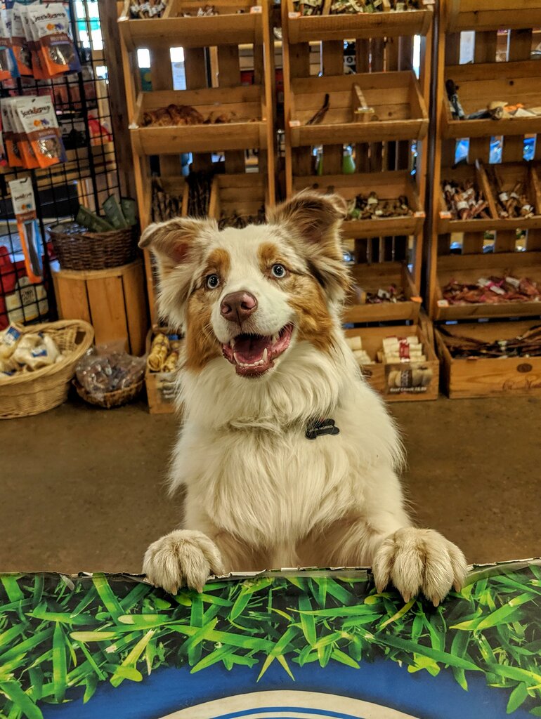 natural pet supply