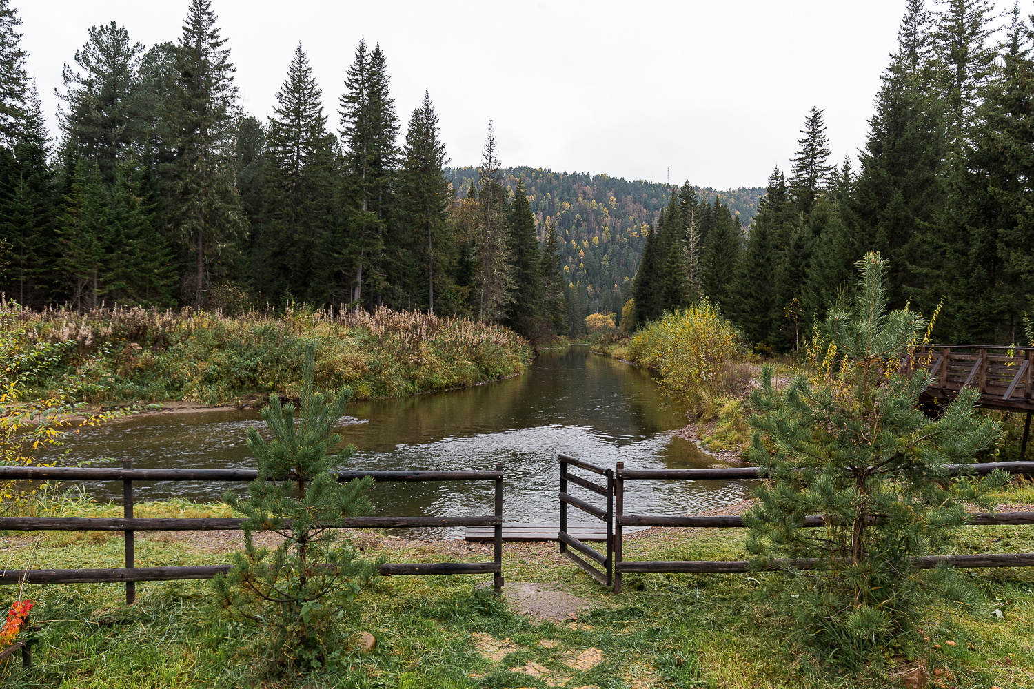 Фото Нарва Club