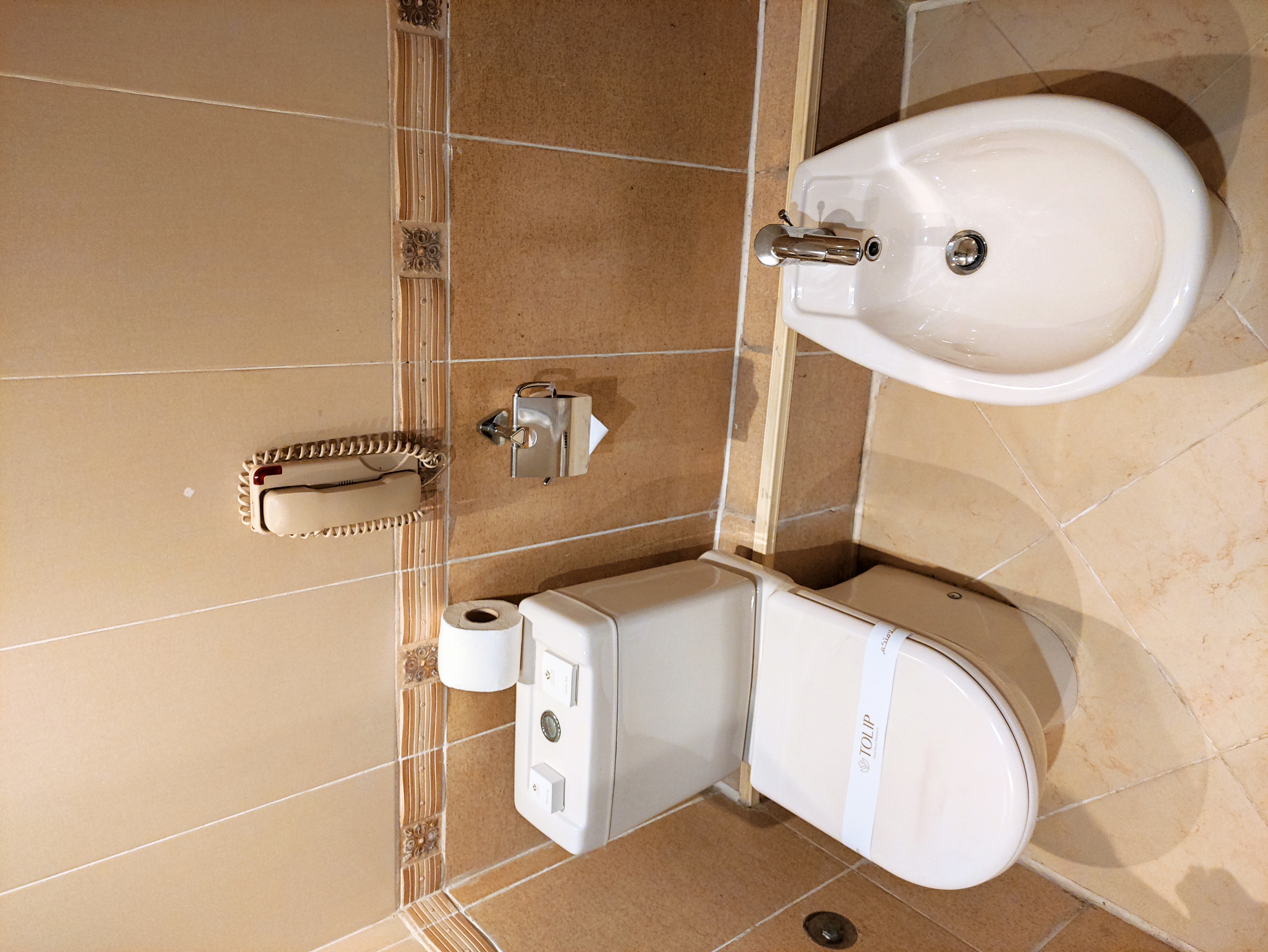 Фото Tolip Alexandria