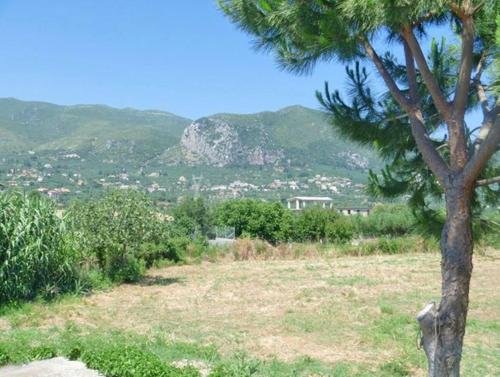 Фото Irini Studios