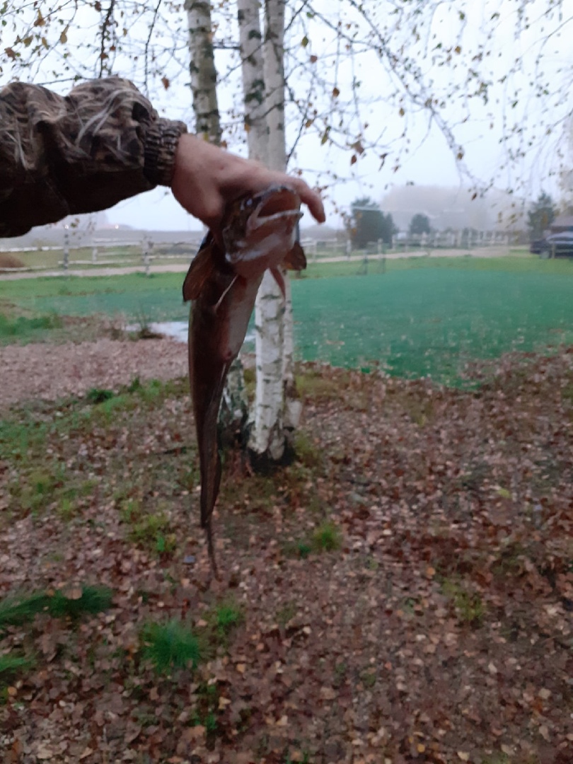 Фото Селигер для вас