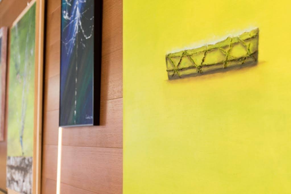 Фото Hotel Elvia