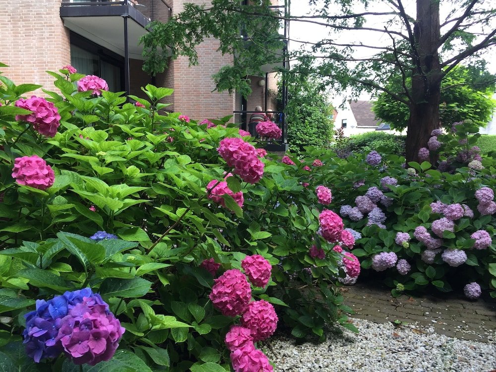 Фото Van der Valk Hotel Leiden