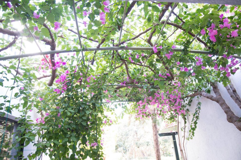 Фото Anna Maria Village