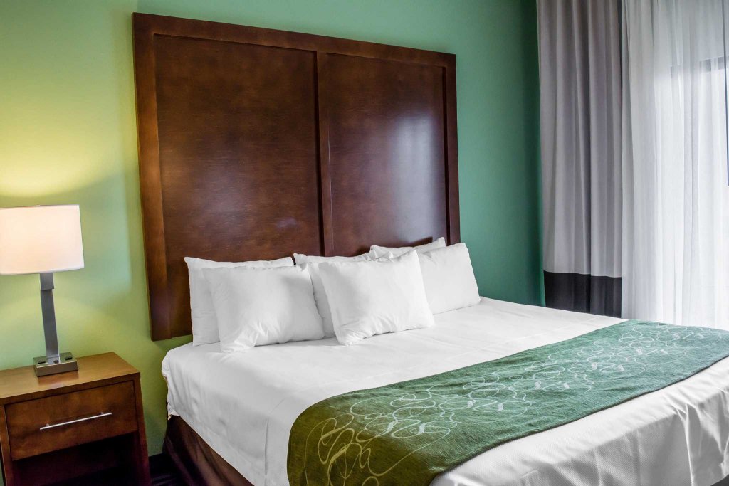 Фото Comfort Suites Leesburg