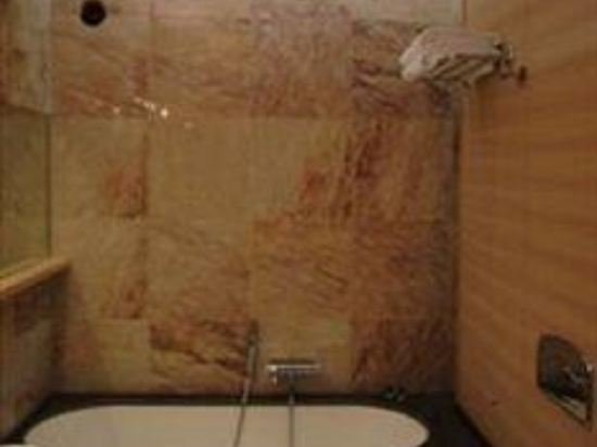 Фото Hotel El Homs Palace