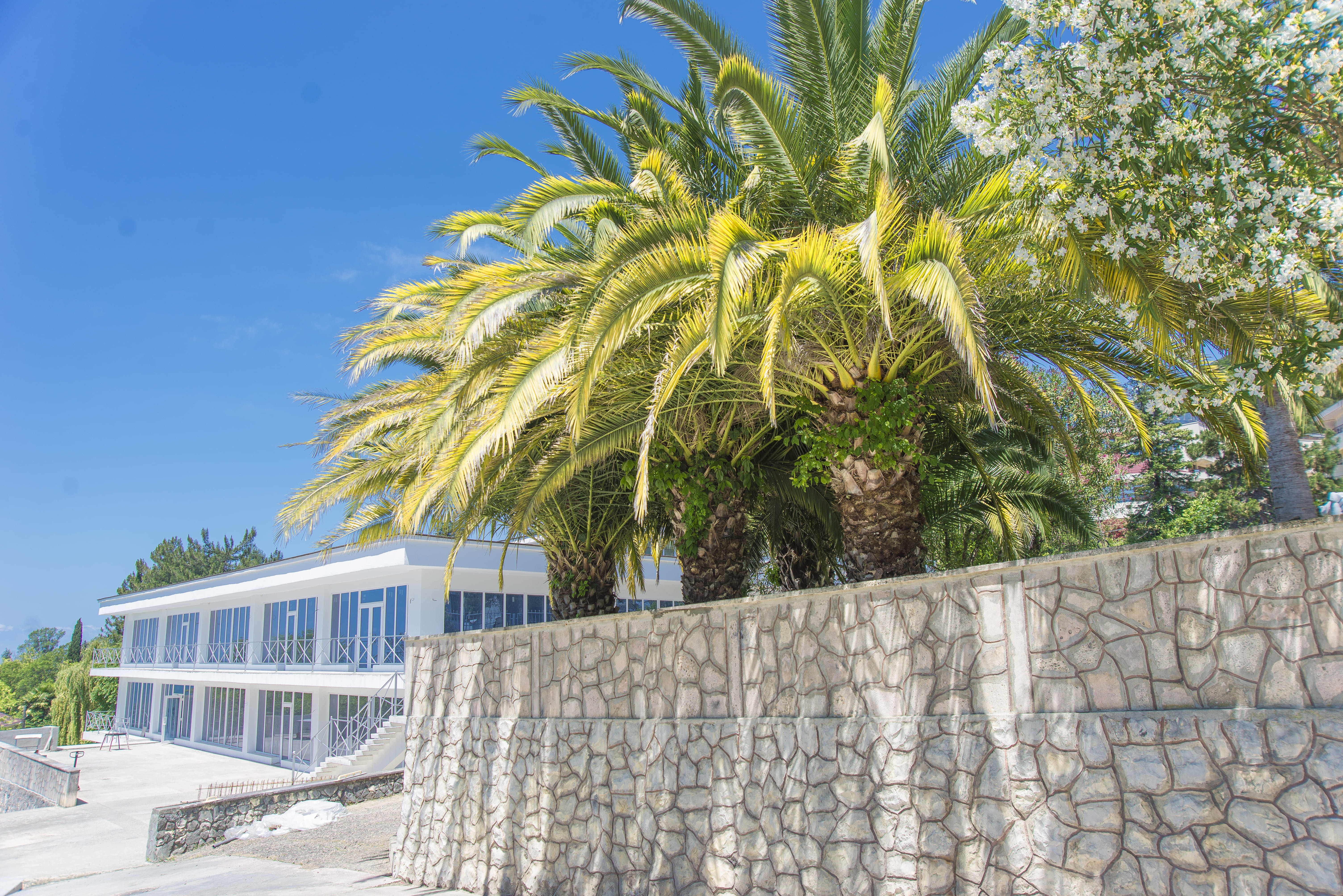 Фото Ларимар