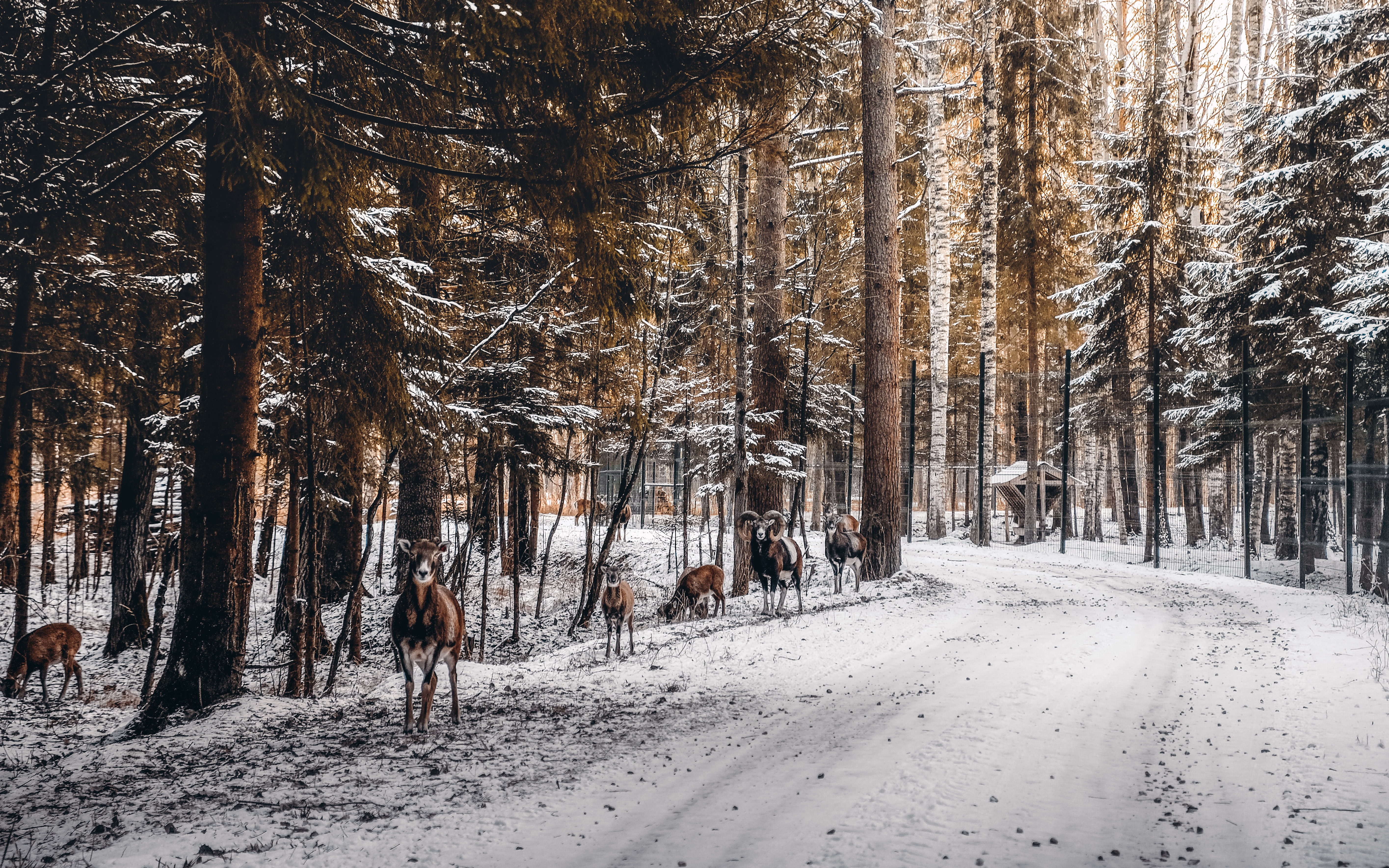 Фото Арт-Усадьба Веретьево