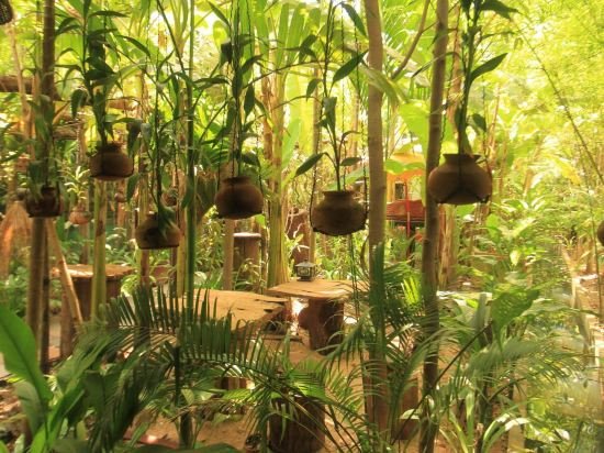 Фото Petit Villa Boutique & SPA