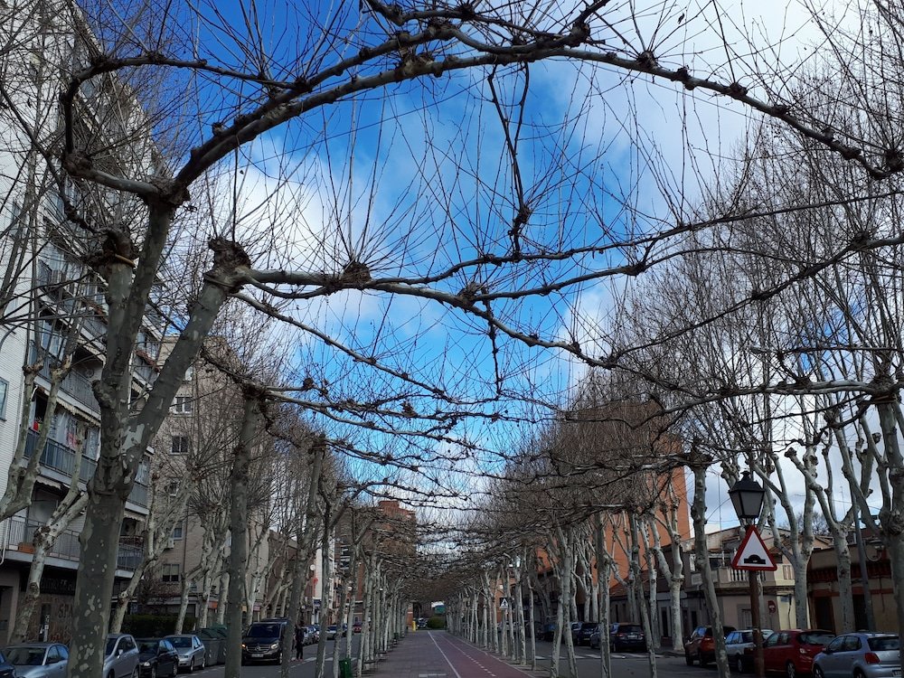 Фото El Sueño del Quijote