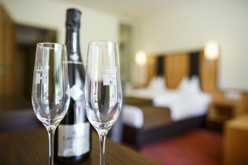 Гостиница Seehotel Vinzenz в Шифлинг-ам-Зее