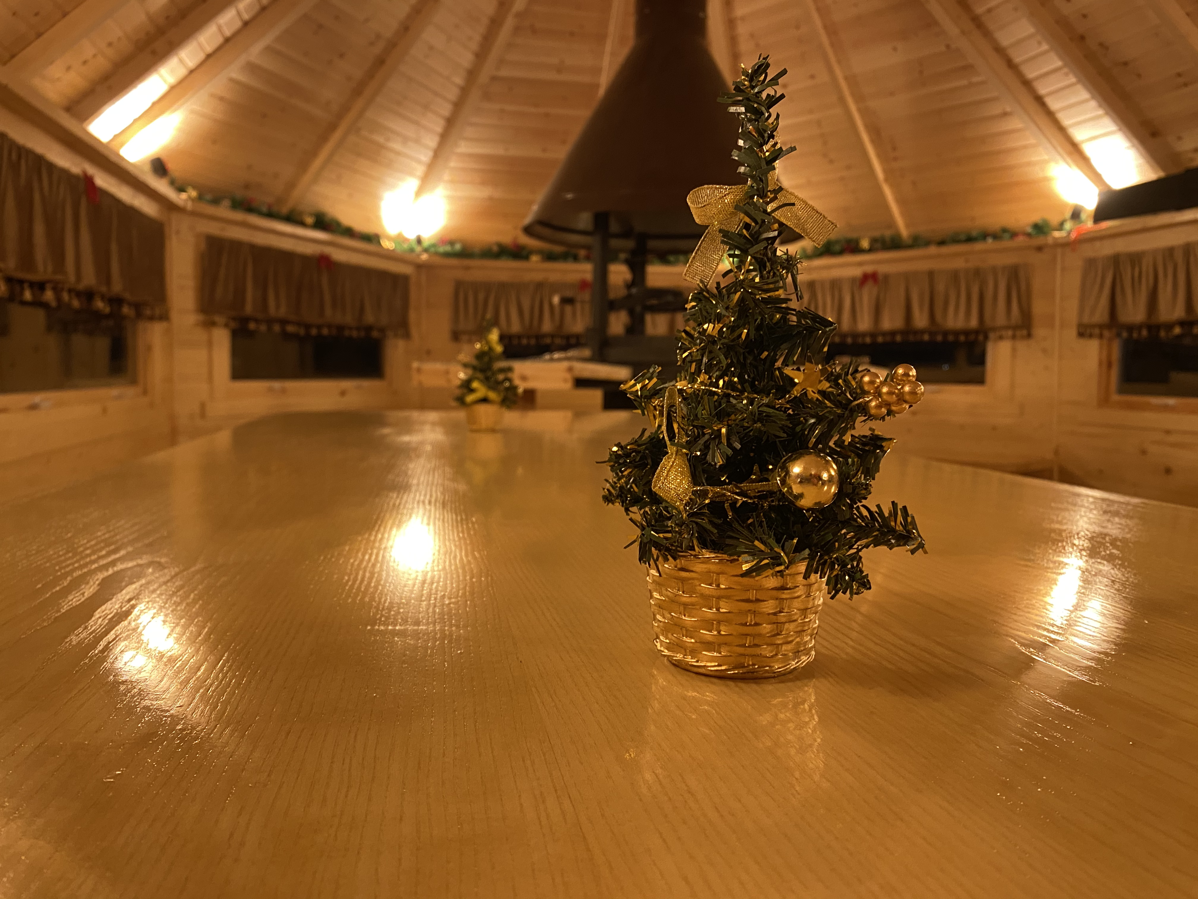 Фото Ковчег