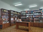 Biblioteka, Tsentralnaya, Rayonnaya, TsBS, Mku (ulitsa Karla Marksa, 13), library
