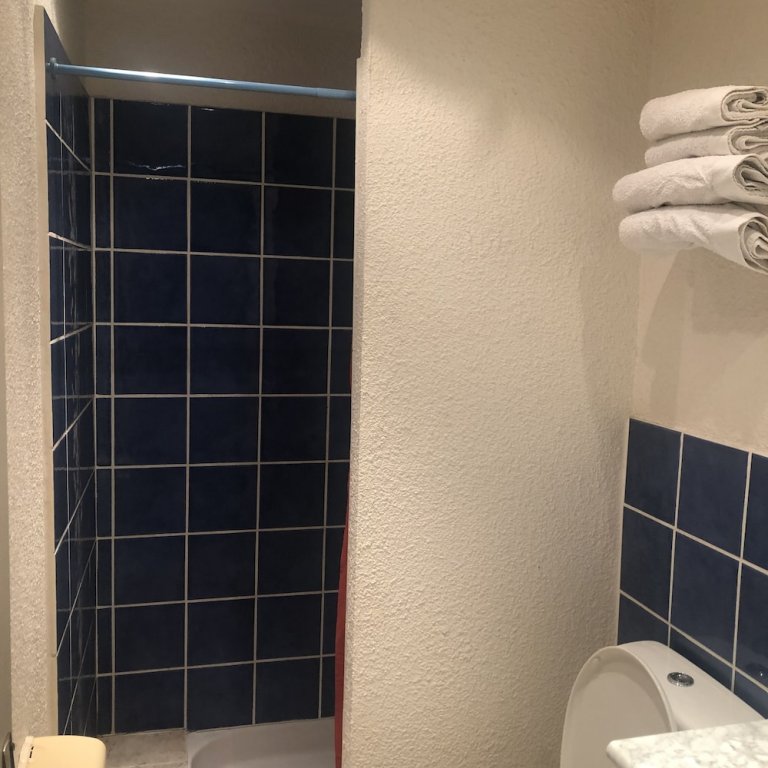 Фото Hotel Le Faisan