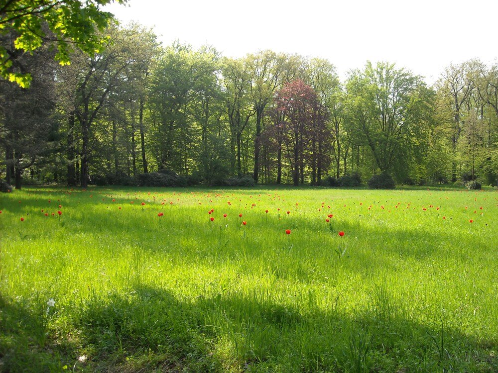 Фото Hotel Schloss Eckberg