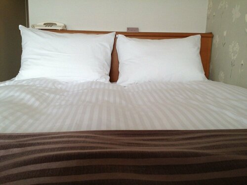 Гостиница Tottori City Hotel в Тоттори