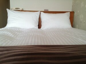 Гостиница Tottori City Hotel