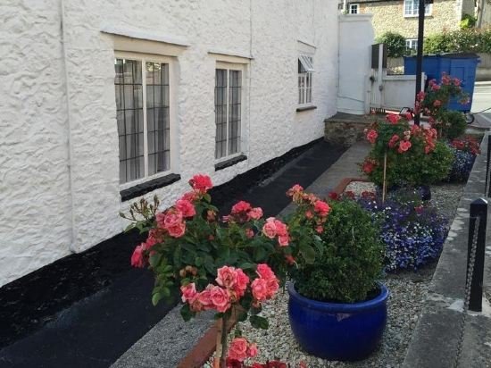 Фото The White Cottage B&b