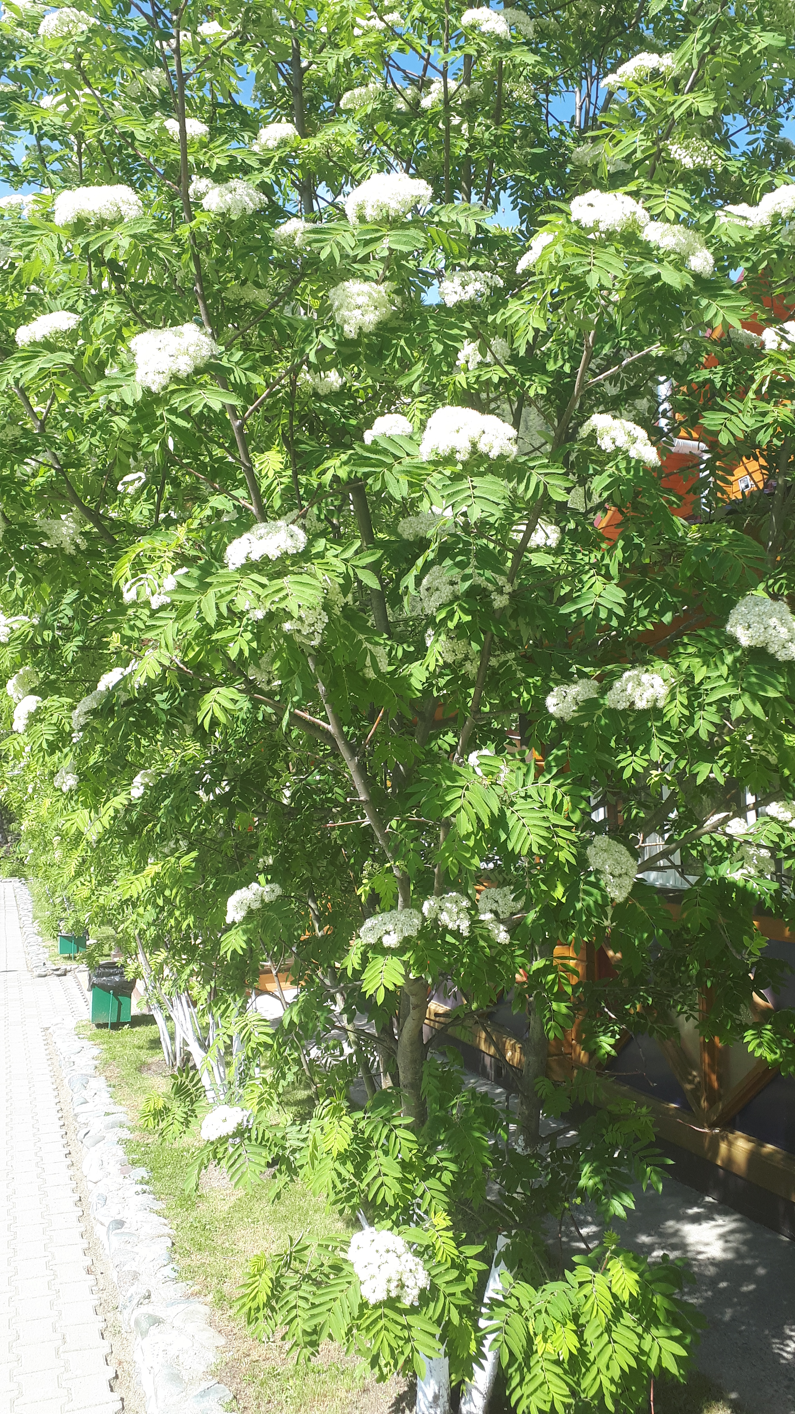 Фото Усадьба Славная