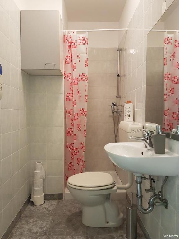 Фото Vila Teslova