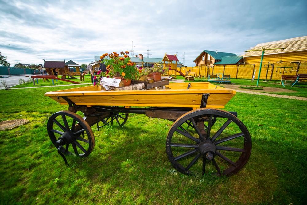 Фото Соколиха