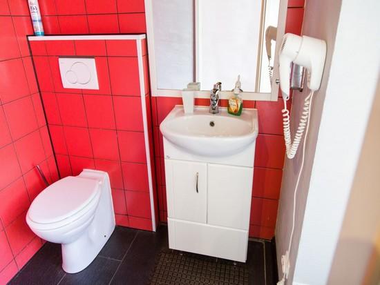 Фото Летучая мышь