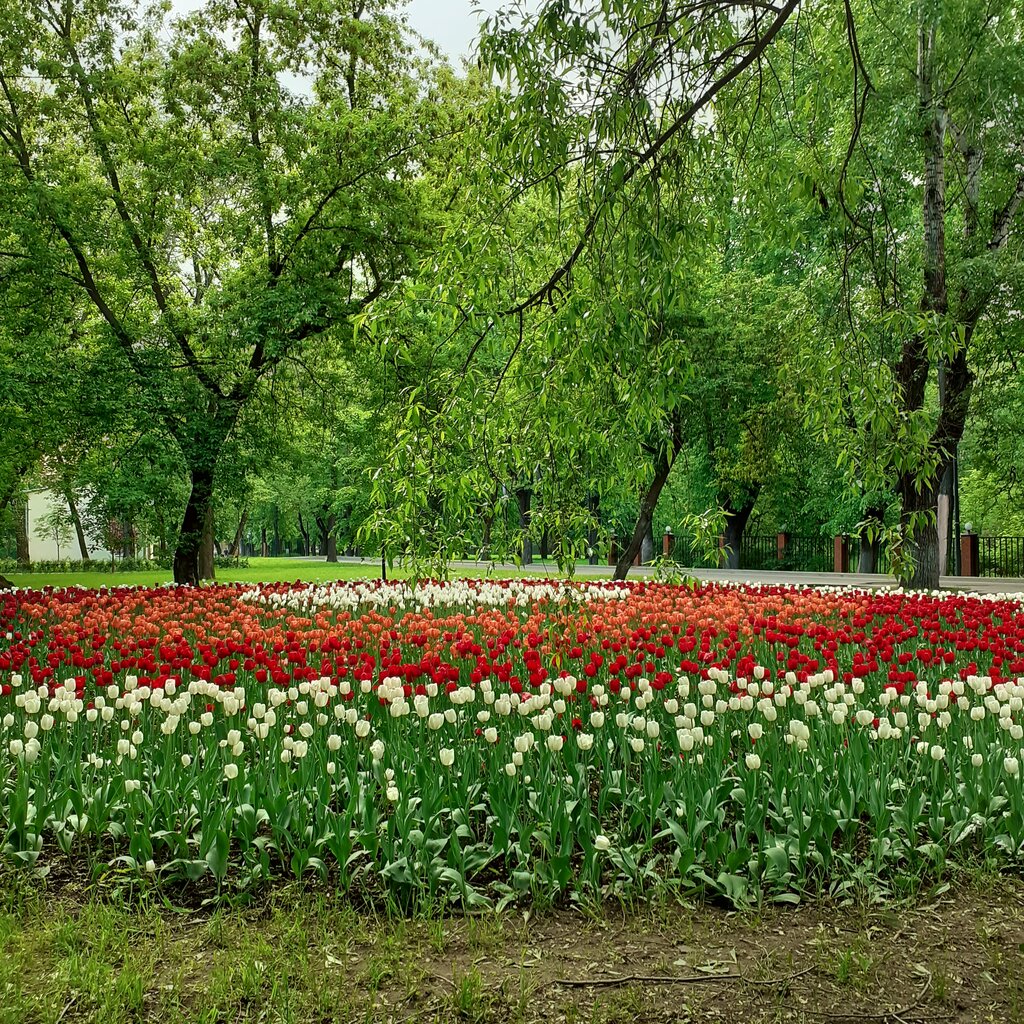 Kültür ve eğlence parkları Lyublinsky Park, Moskova, foto