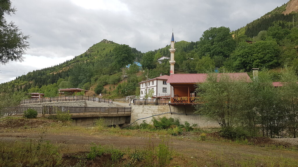 Mosque Armutlu Mosque, Savsat, photo