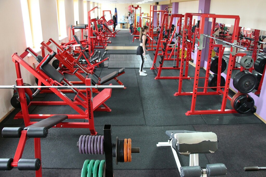 Спортивный, тренажёрный зал Artoriya Fitness & Ludus Gym, Витебск, фото