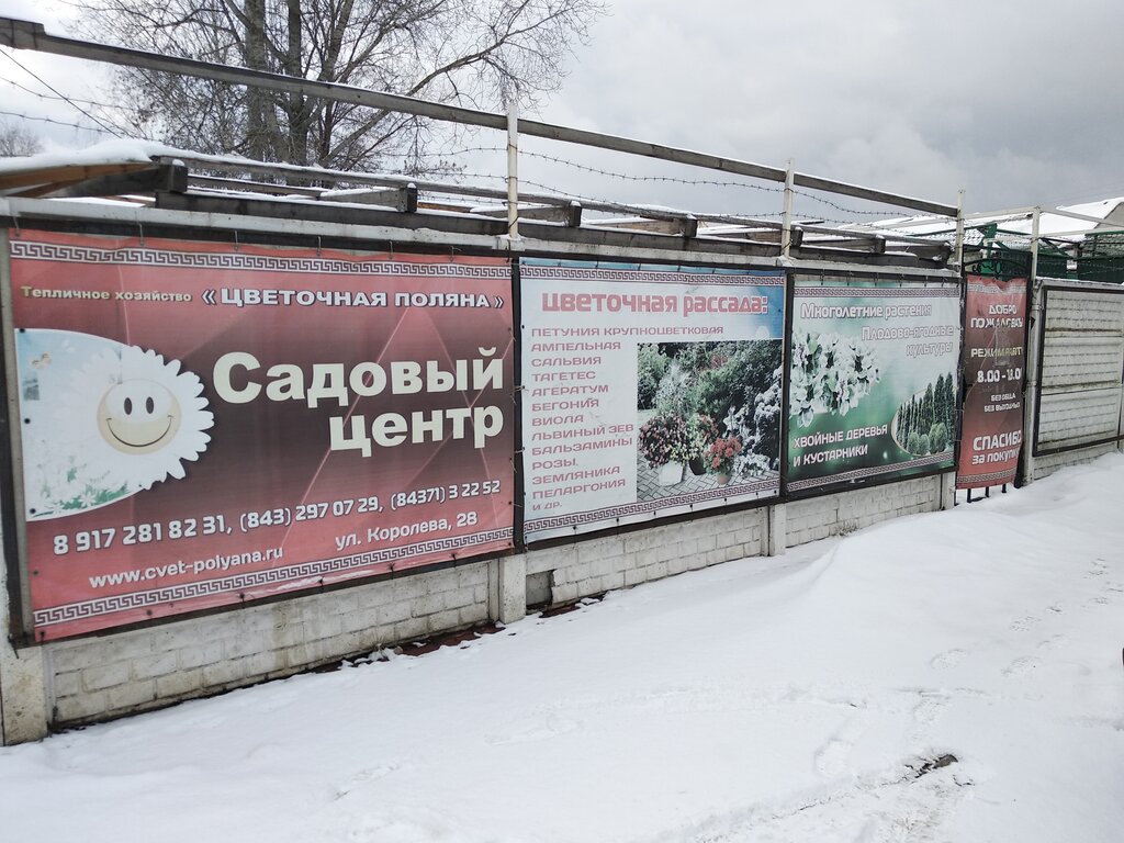 Садовый центр Цветочная поляна, Зеленодольск, фото