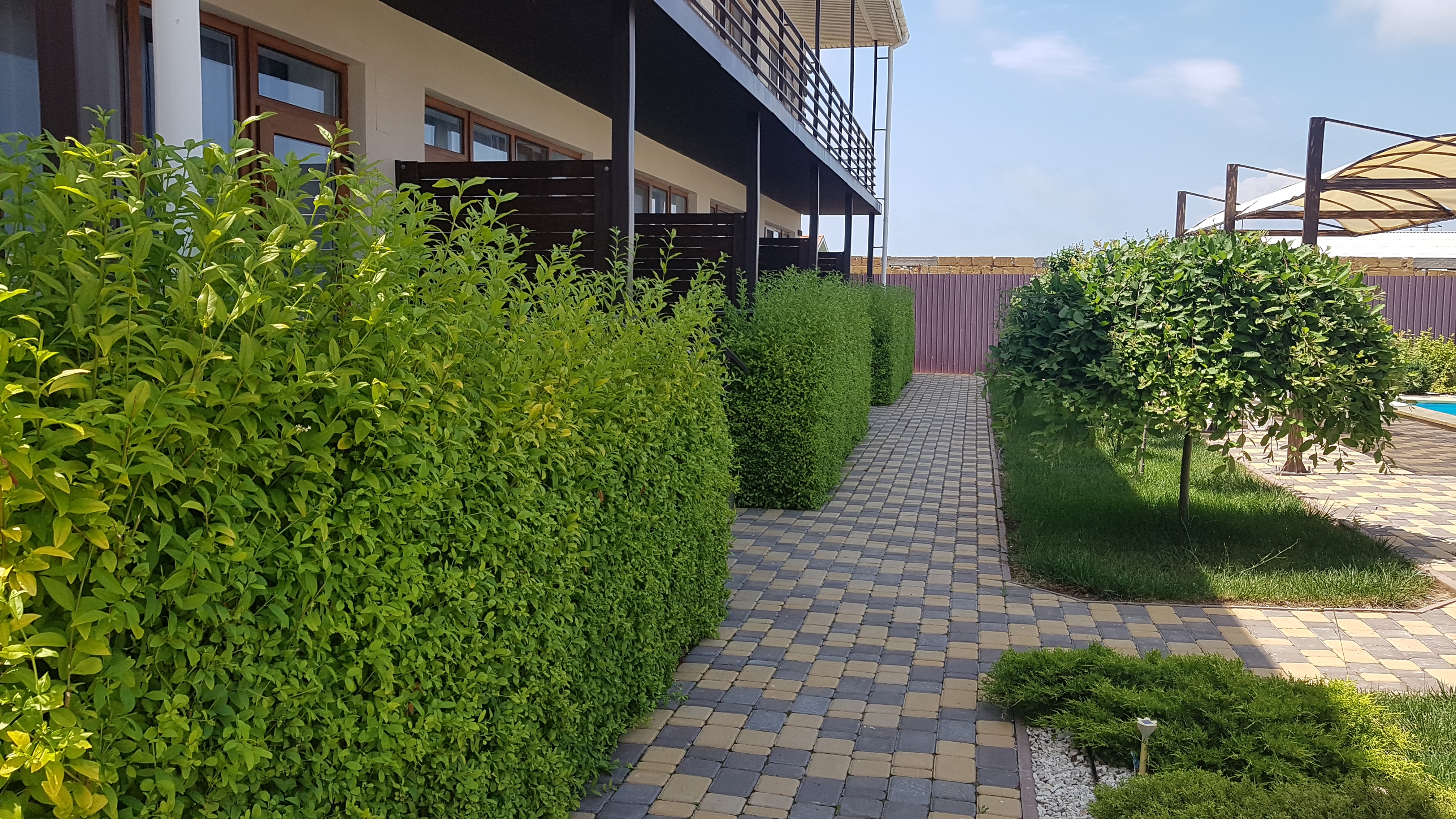 Фото Позитиff