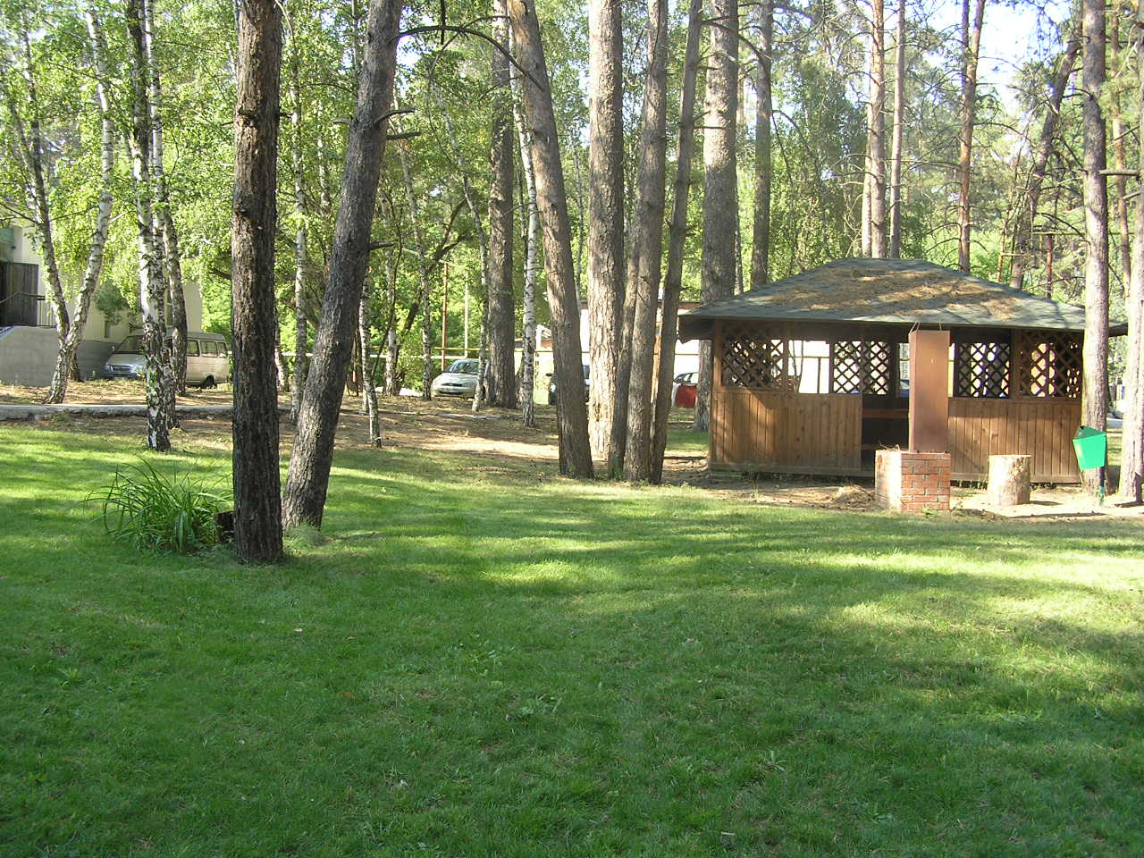 Фото Русский бор