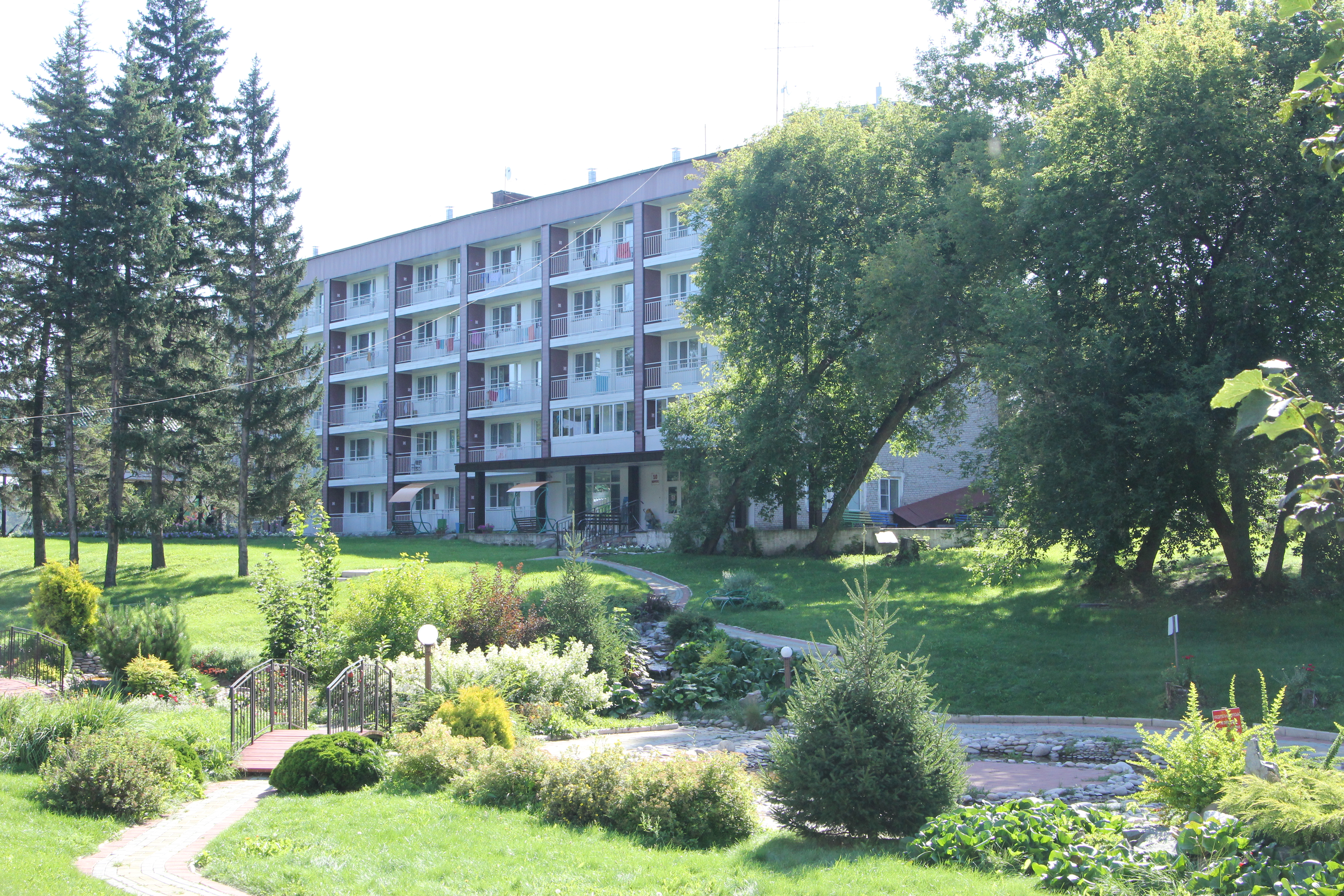 Фото Сосновый бор