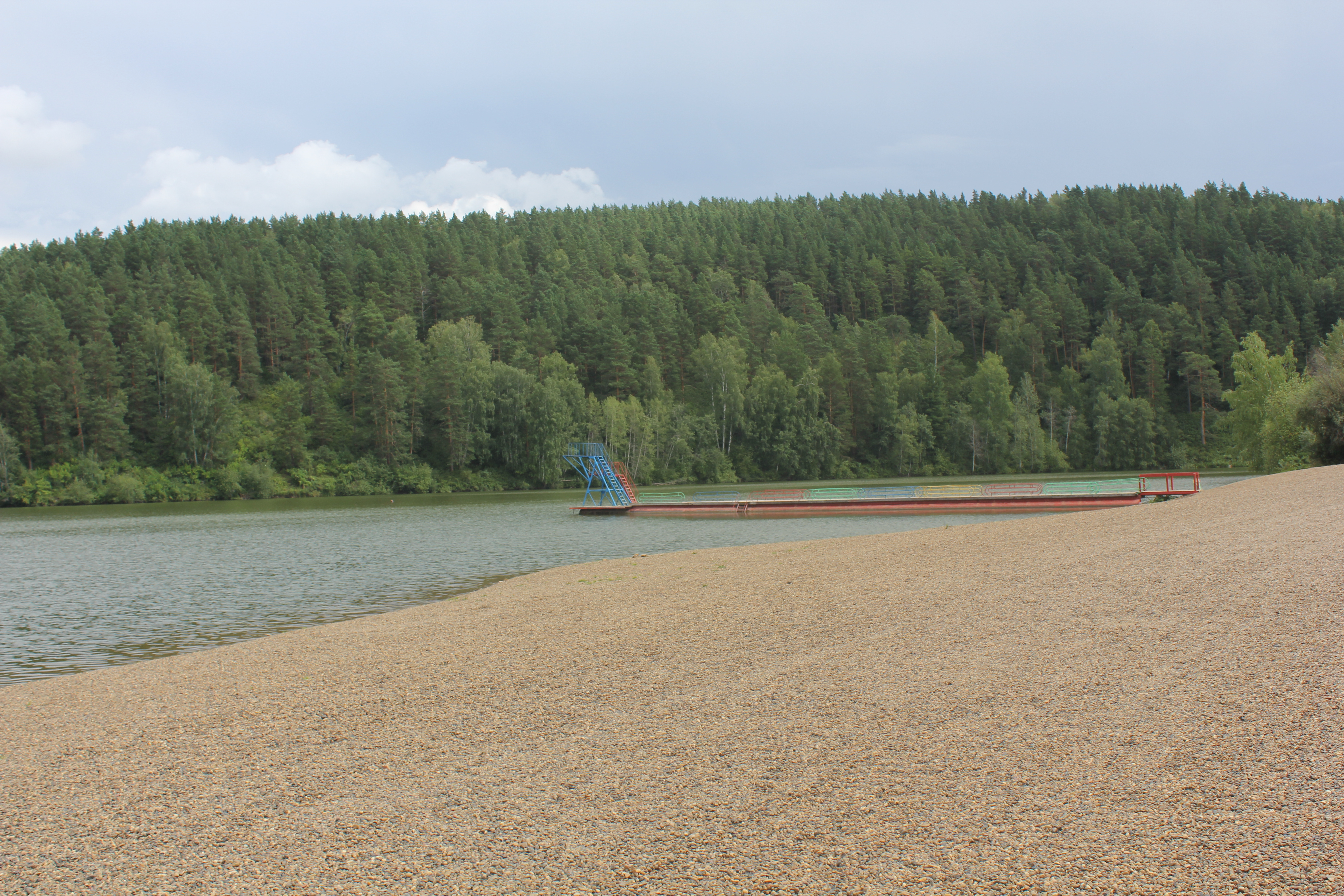 Фото Кедровый бор