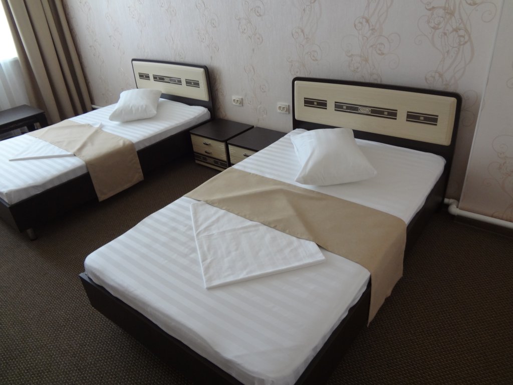 Фото Сорока