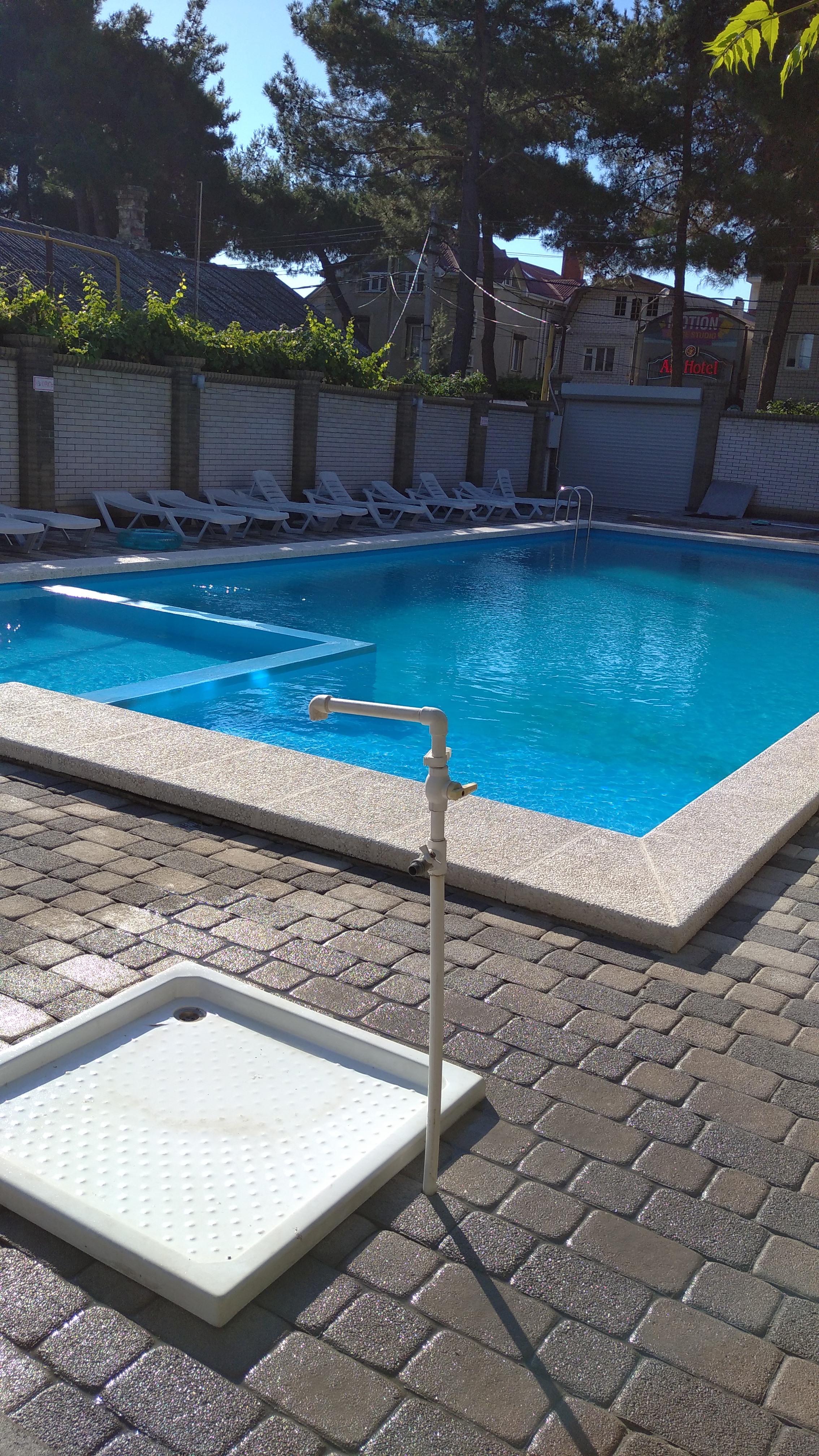 Фото Тополь