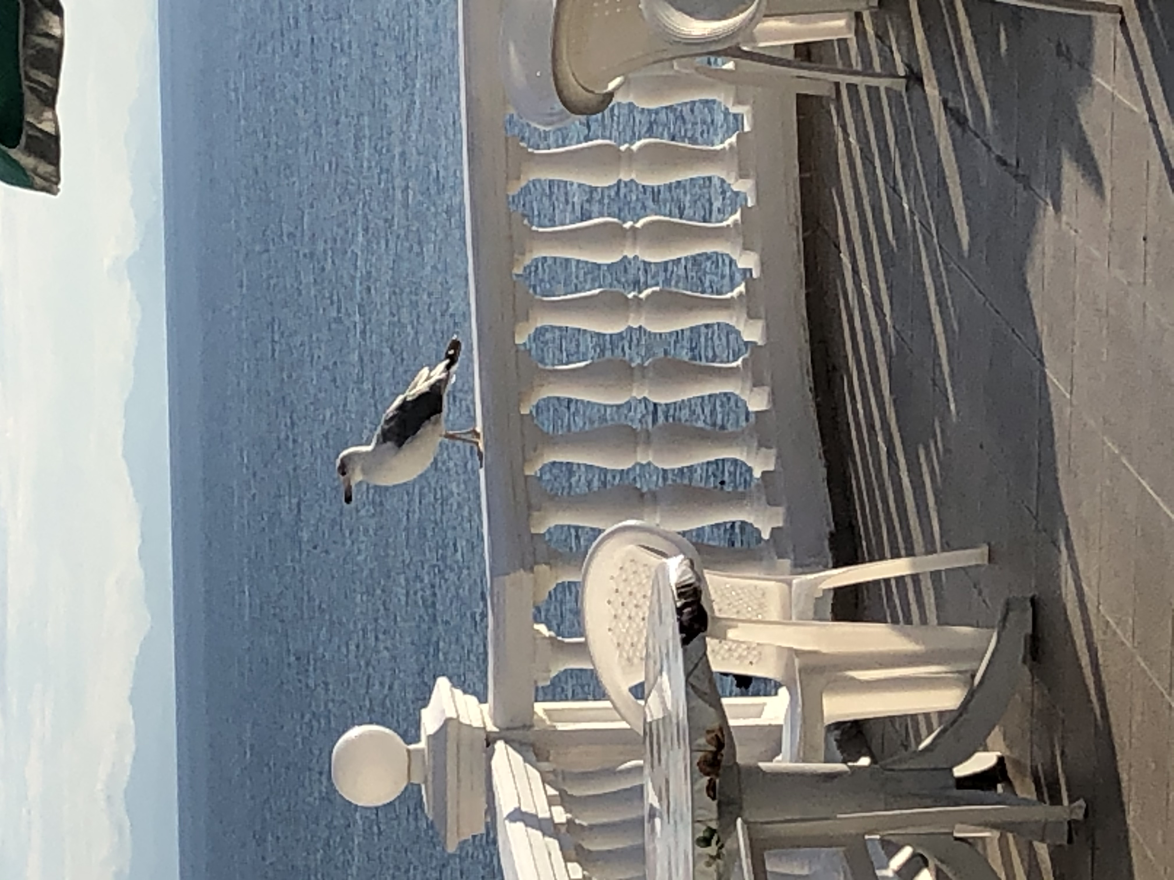 Фото Лагуна